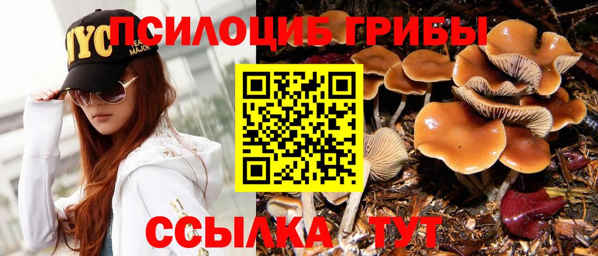 Галлюциногенные грибы Psilocybe  Вход с VPN  Галлюциногенные грибы Cubensis  Всеволожск 