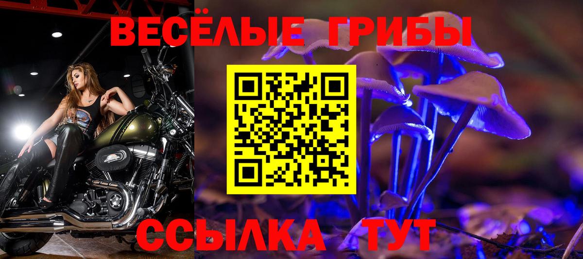 Псилоцибиновые грибы ЛСД Всеволожск